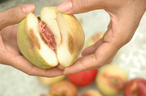 Nhan qua tu hang xom, vo chong gia hoi song da muon