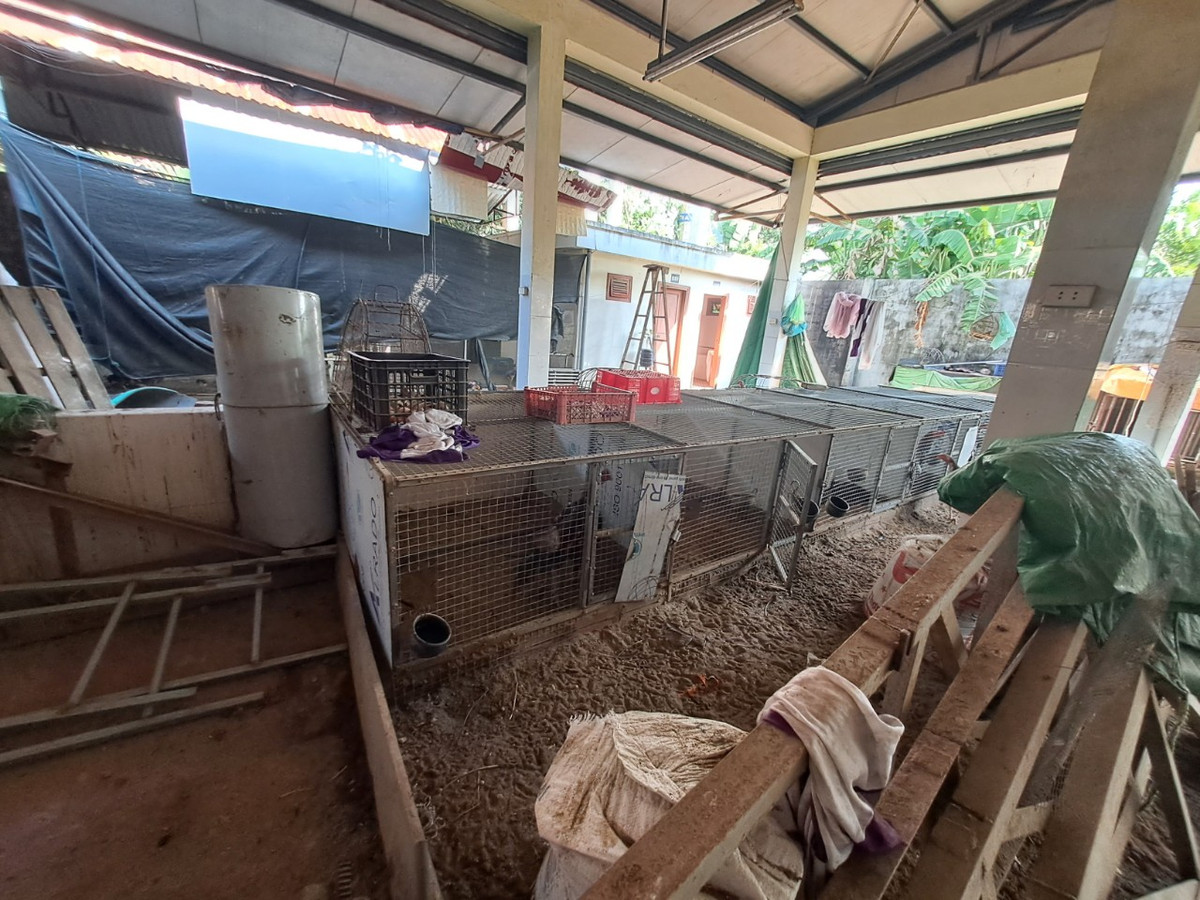 Cho moi bo hoang, dan hop cho ngoai duong: Chinh quyen bat luc?-Hinh-4