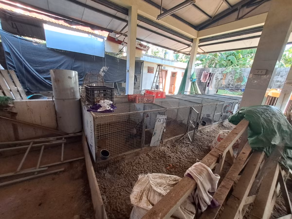 Cho moi bo hoang, dan hop cho ngoai duong: Chinh quyen bat luc?-Hinh-4