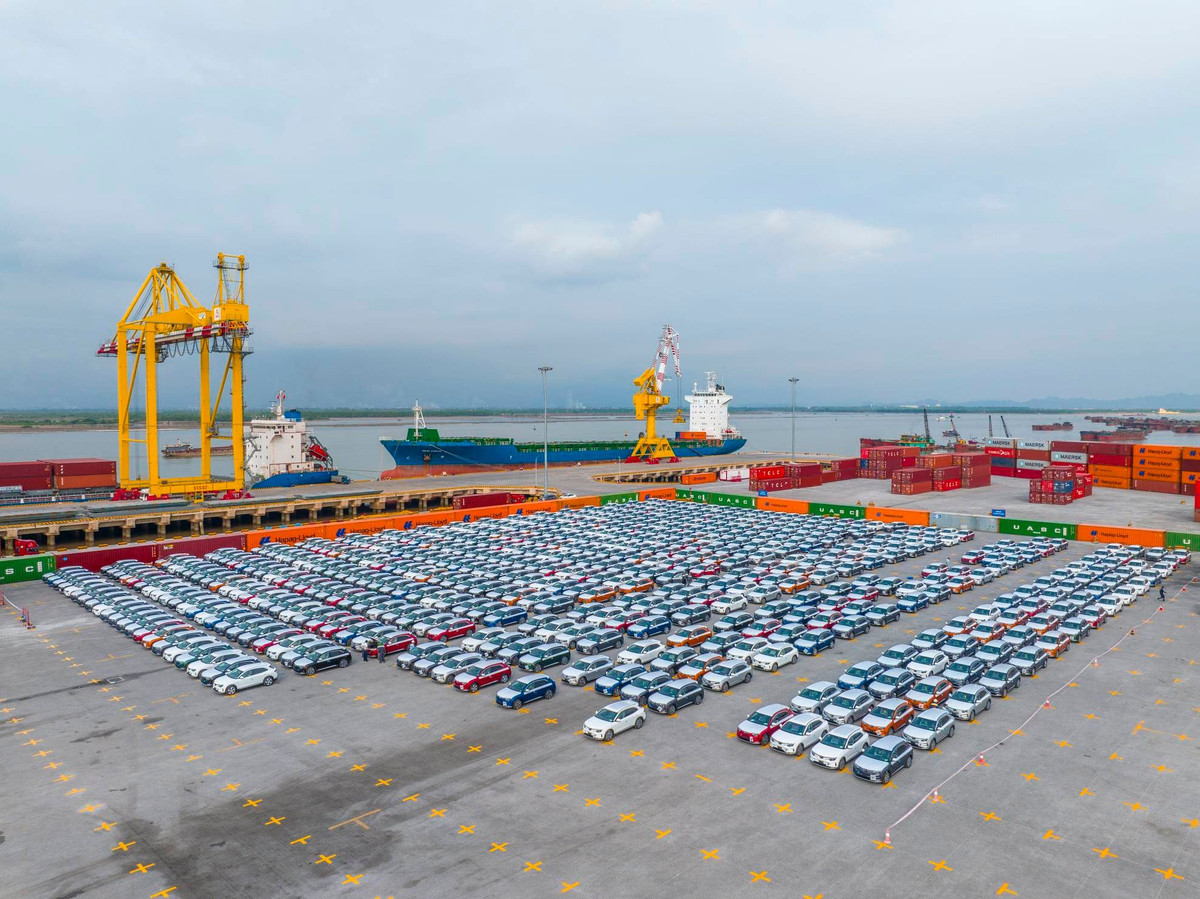 Thủ tướng dự lễ xuất khẩu lô xe điện đầu tiên của VinFast - Hình 3 Thu tuong du le xuat khau lo xe dien dau tien cua VinFast-Hinh-3