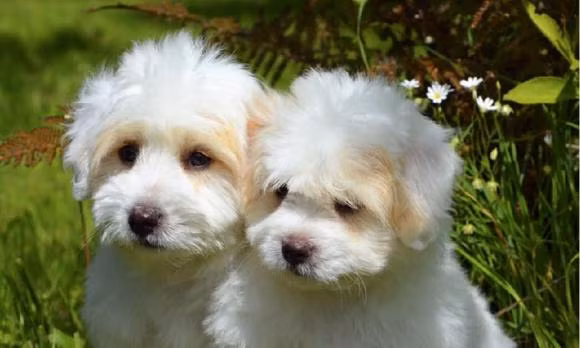 Sinh vao ba gio sau, nguoi tuoi Tuat se gap nhieu may man