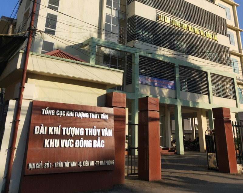 Dai KTTV KV Dong Bac cho thue dat rung phong ho: Co y lam trai?-Hinh-3