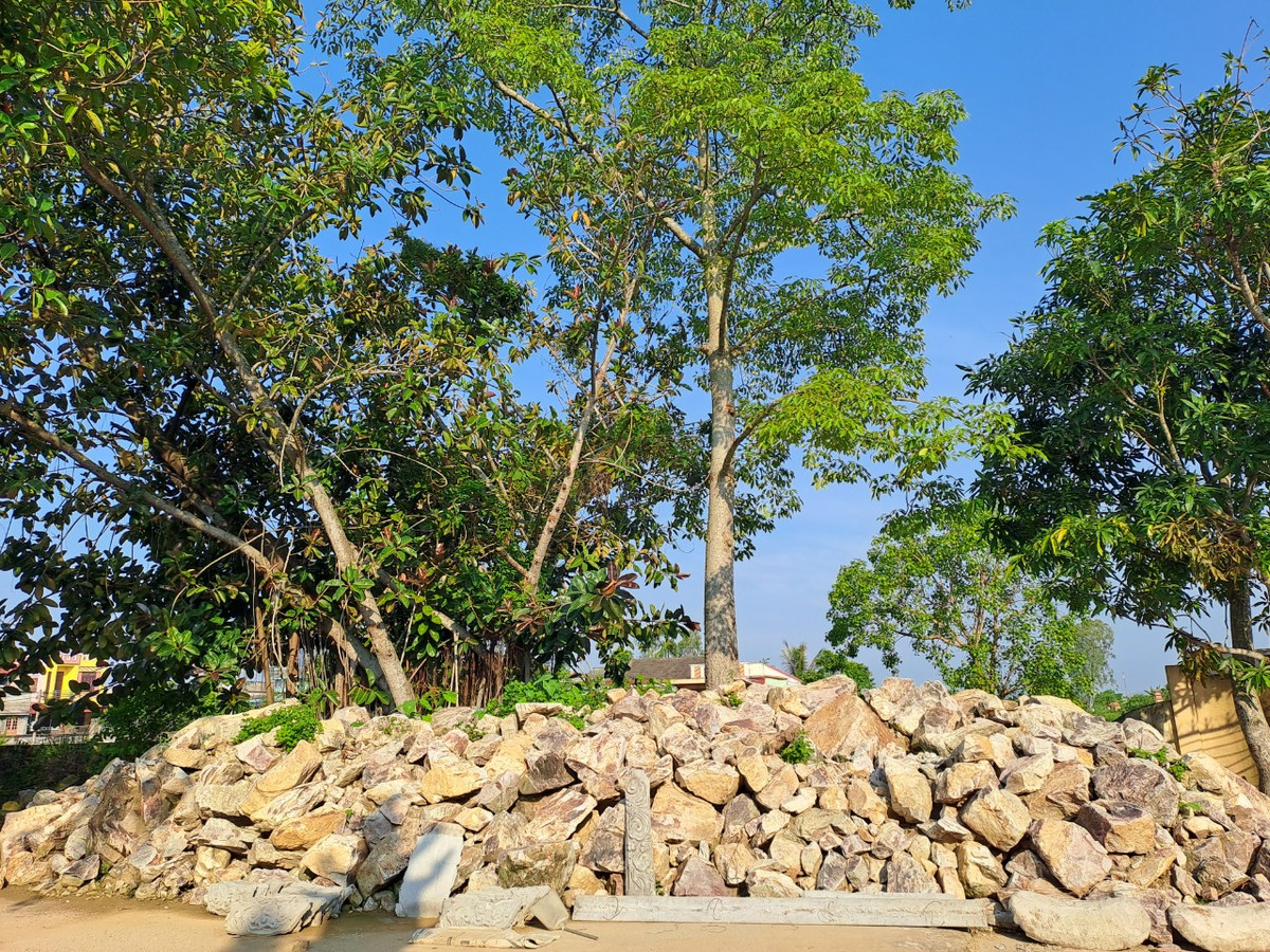 Ông nguyền: “Bao giờ hòn đá này nổi, làng Xuân La mới nên người”. Sau đó ông bỏ sang khu đất cạnh làng (nay là làng Cẩm La) chiêu dân lập ấp. Khi ông mất, dân làng Cẩm La lập ông là thành hoàng làng và lấy ngày 6 tháng giêng hàng năm là ngày giỗ của ông.