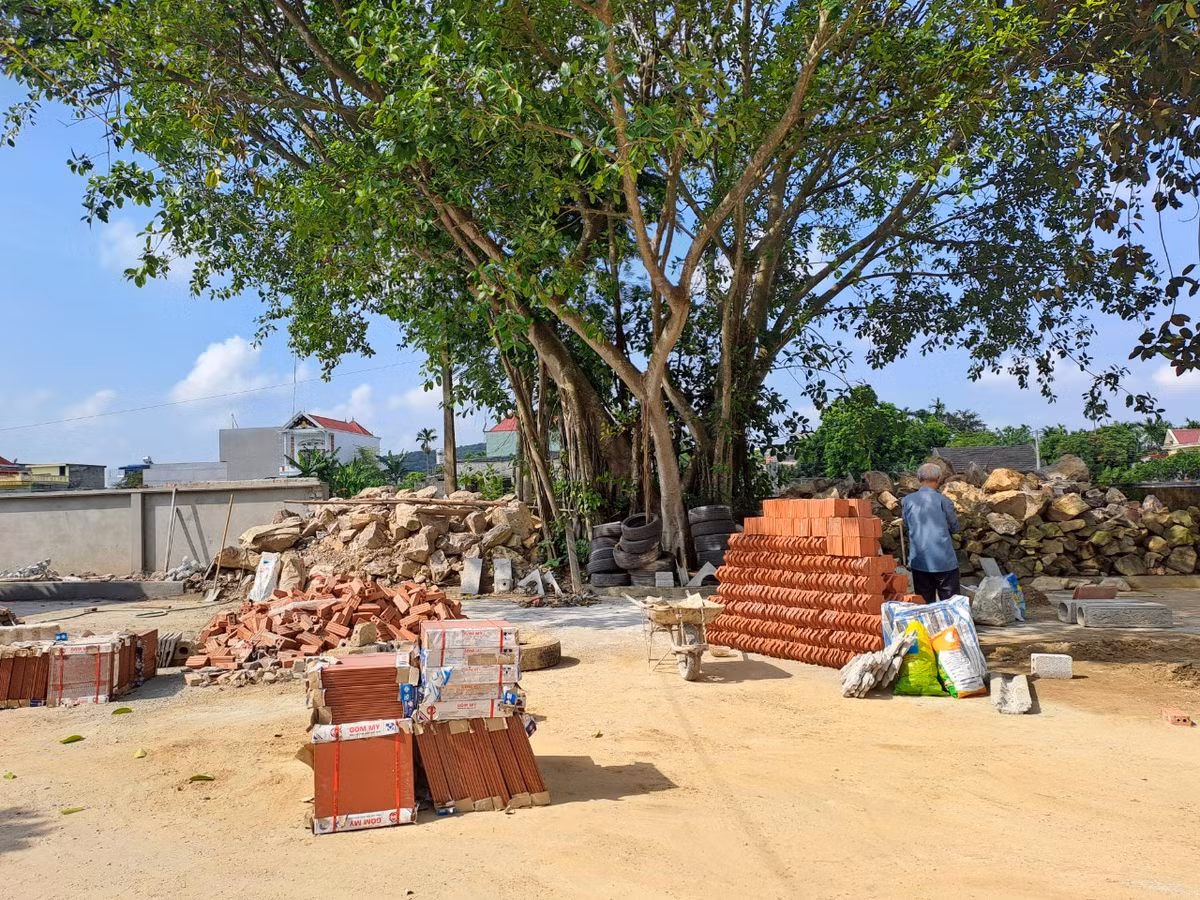 Nhưng chữ nghĩa thì không biết nên văn tự cũng không biết viết, ông bị trưởng bạ (chức cai dịch chuyên lo sổ cách điền bạ ở làng) miệt thị, khinh bỉ. Quá uất ức, Ngô Thái Cẩn quyết tâm dùi mài kinh sử, học đêm học ngày, có nhiều khi người trong làng thấy Ngô Thái Cẩn vừa đi vừa học.