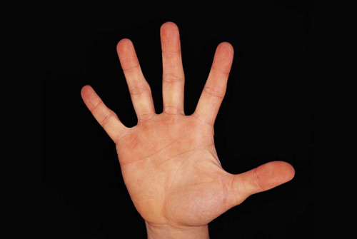 Đàn ông sở hữu các ngón tay dài đều nhau là người thích vun vén cho gia đình. Ảnh: Printest.