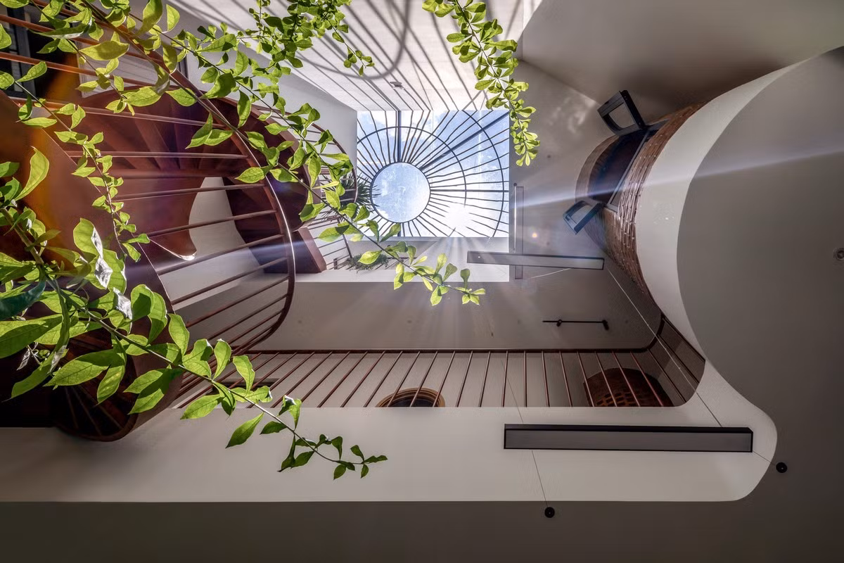 Khu vực mái được sử dụng như một sân thượng lớn. Phần phía trước đóng vai trò là không gian thư giãn cho gia đình và bạn bè, trong khi phần phía sau được sử dụng làm khu vực phơi đồ, kết hợp với việc trồng cây ăn quả theo sở thích của chủ nhà.