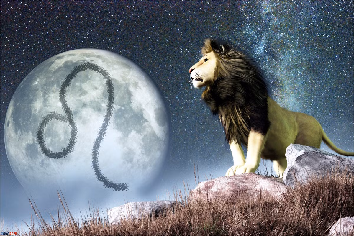 Tiền bạc: Sư Tử hãy học cách chi tiêu tiết kiệm. Tình duyên: Cặp đôi cần dành thời gian để giãi bày những điều muốn nói. Sức khỏe: Bạn hãy ăn uống đủ chất, tránh bỏ bữa.