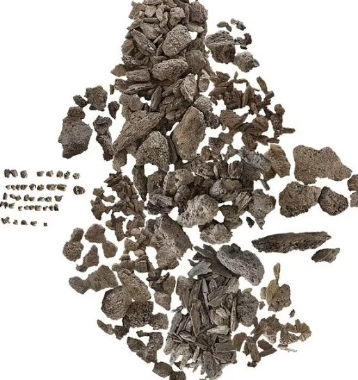 Vào thời kỳ đó, phụ nữ đã tham gia tích cực vào những cuộc chiến tranh. Họ trở thành những nữ chiến binh dũng mãnh.