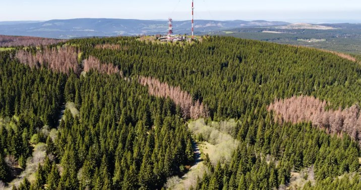 Trong khi đó, một tình nguyện viên của lực lượng cứu hỏa địa phương chia sẻ với Telegraph rằng, giả thiết "người sói" là vô lý và bức ảnh trên có thể chỉ là một trò đùa. Nguyên do là bởi khoảng 1/3 lãnh thổ nước Đức là rừng rậm. Vậy nên, nhiều giai thoại, truyền thuyết về các sinh vật kỳ bí, bao gồm "người sói" có thể được con người sáng tạo ra. Thực tế cũng chứng minh, đến nay, giới chức trách vẫn chưa tìm được bất cứ bằng chứng khoa học nào giúp chứng minh "người sói" có thật.