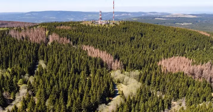 Trong khi đó, một tình nguyện viên của lực lượng cứu hỏa địa phương chia sẻ với Telegraph rằng, giả thiết "người sói" là vô lý và bức ảnh trên có thể chỉ là một trò đùa. Nguyên do là bởi khoảng 1/3 lãnh thổ nước Đức là rừng rậm. Vậy nên, nhiều giai thoại, truyền thuyết về các sinh vật kỳ bí, bao gồm "người sói" có thể được con người sáng tạo ra. Thực tế cũng chứng minh, đến nay, giới chức trách vẫn chưa tìm được bất cứ bằng chứng khoa học nào giúp chứng minh "người sói" có thật.