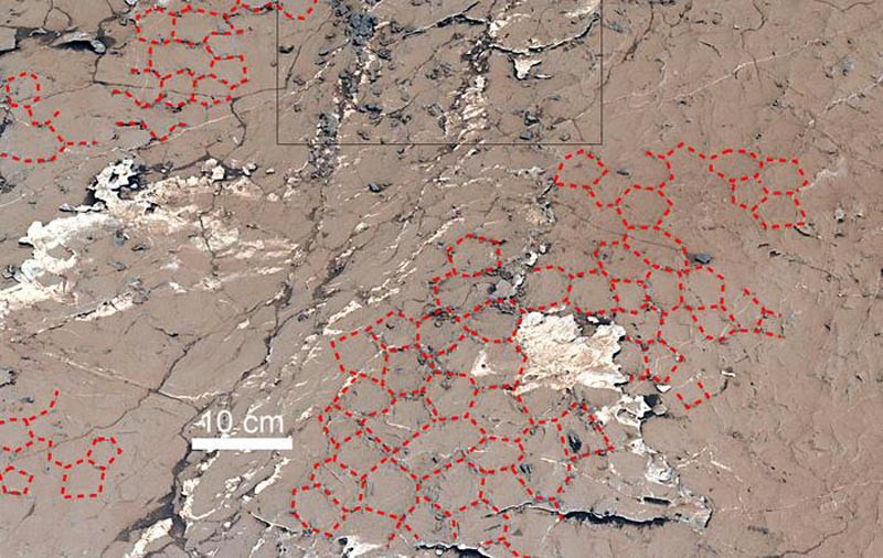 Theo các nhà nghiên cứu, những cấu trúc dị thường có hình dạng giống tổ ong có khả năng là một trong những nơi có thể bắt đầu sự sống trên sao Hỏa.