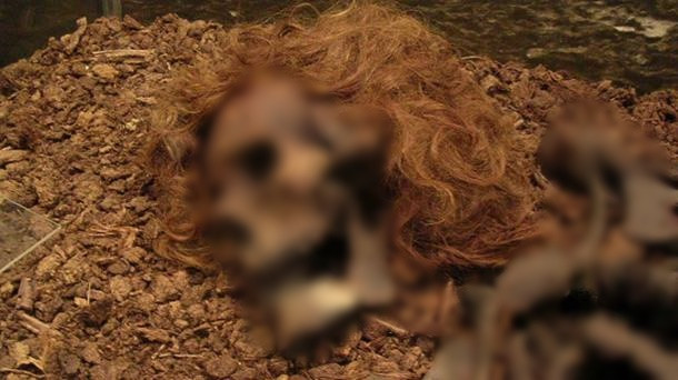 Theo các kiểm tra và phân tích thi hài Bocksten Man, giới nghiên cứu xác định đây không phải là nạn nhân trong một vụ án mạng gần đây. Thực chất, người đàn ông này đã qua đời cách đây khoảng 700 năm. Thi thể của Bocksten Man được bảo quản vẹn nguyên theo thời gian nhờ môi trường đầm lầy than bùn có nồng độ oxy thấp. Kết hợp nhiệt độ ở phương Bắc lạnh giá nên thi hài không bị phân hủy.