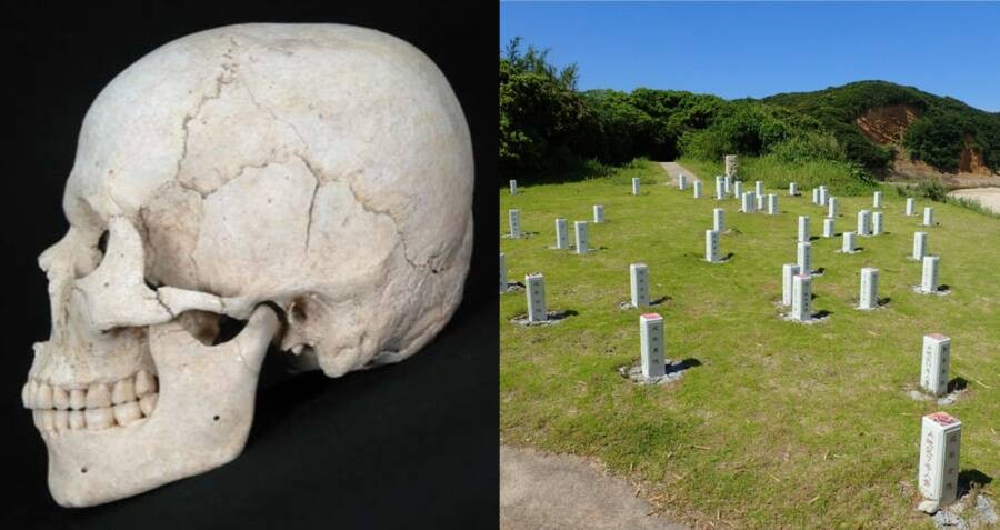 Nhờ đó, giới nghiên cứu phát hiện, người Hirota có hộp sọ hơi ngắn và phía sau đầu phẳng. Những đặc điểm này khác biệt so người Yayoi và Jomon.