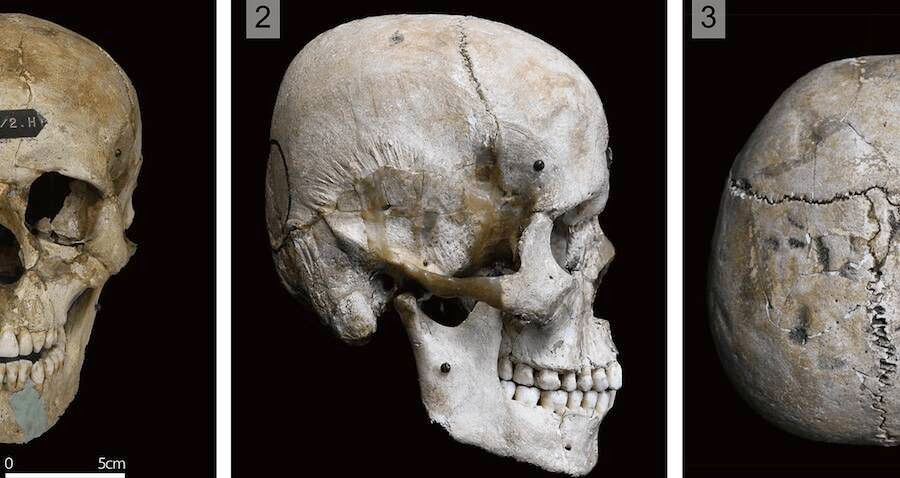 Để đưa ra kết luận này, nhóm nghiên cứu đã phân tích, so sánh hộp sọ của người Hirota với người Yayoi và Jomon - những người sinh sống ở các vùng khác của Nhật Bản cùng thời điểm trên.