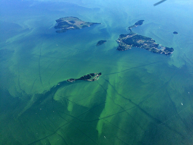 Một trong những xác tàu đắm nổi tiếng nhất được tìm thấy ở hồ Erie là con tàu có tên "Lake Serpent".