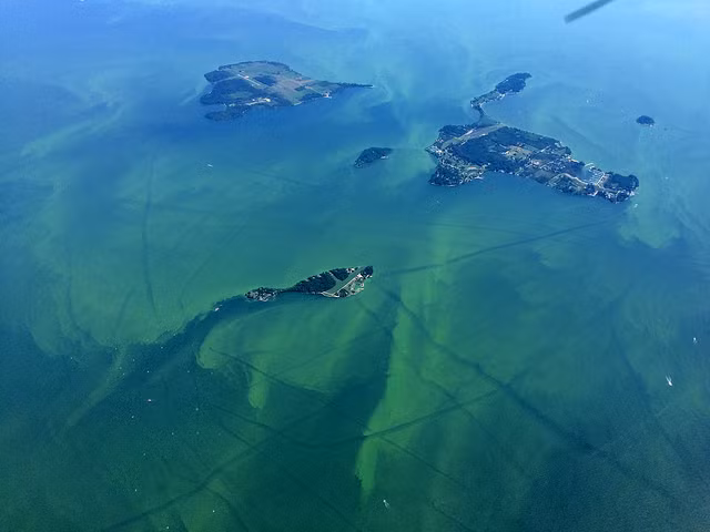 Một trong những xác tàu đắm nổi tiếng nhất được tìm thấy ở hồ Erie là con tàu có tên "Lake Serpent".