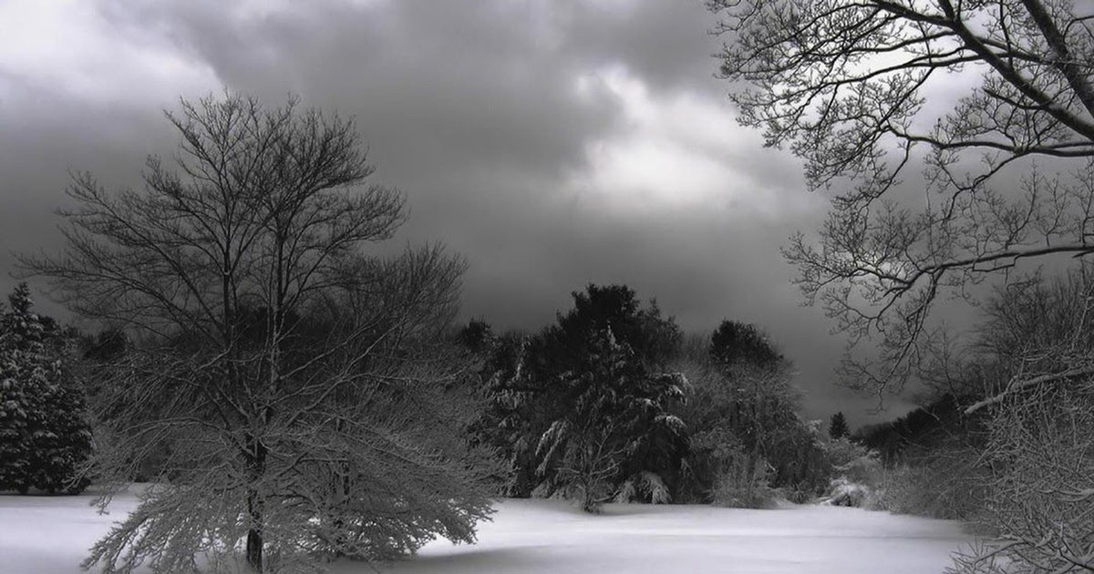 Do những dấu chân "quỷ dữ" chưa được nhìn thấy lần tiếp theo nên việc nghiên cứu của các chuyên gia gặp nhiều khó khăn. Đến nay, họ vẫn chưa thể giải mã nguồn gốc của những dấu chân kỳ bí trên.