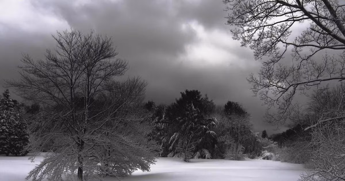 Do những dấu chân "quỷ dữ" chưa được nhìn thấy lần tiếp theo nên việc nghiên cứu của các chuyên gia gặp nhiều khó khăn. Đến nay, họ vẫn chưa thể giải mã nguồn gốc của những dấu chân kỳ bí trên.