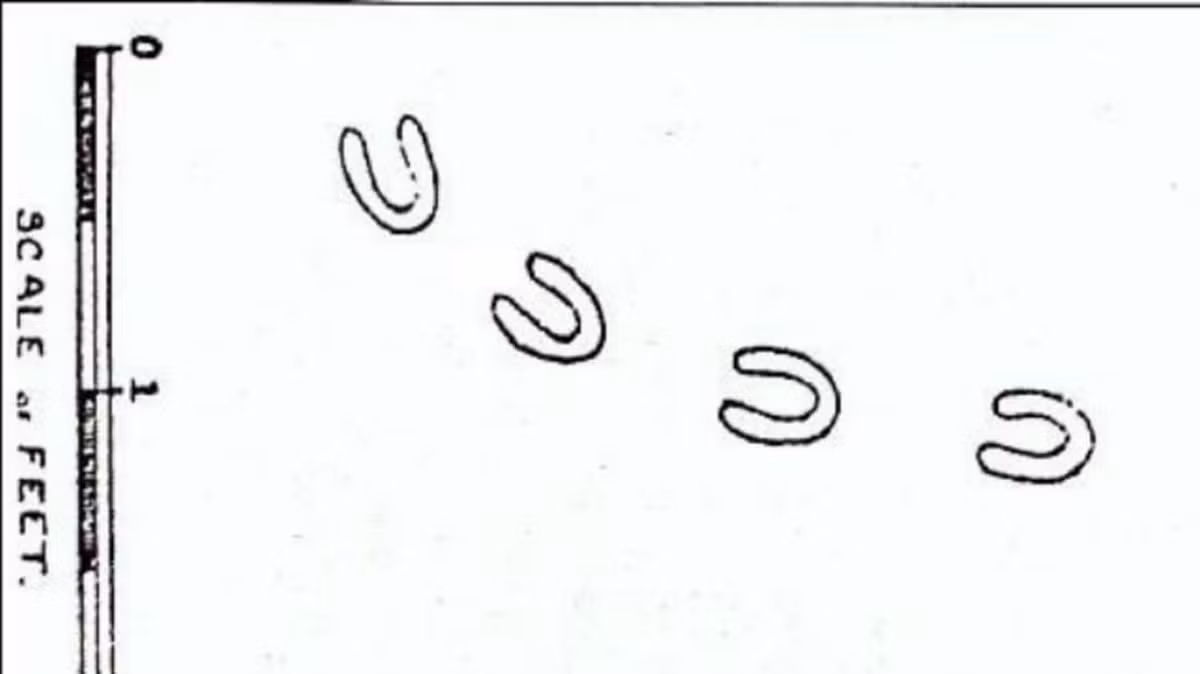 Việc tìm thấy những dấu chân kỳ bí ở khắp mọi nơi khiến một số người dân cho rằng dường như có ai đó hoặc sinh vật nào đang rình rập, theo dõi ngôi nhà của họ.