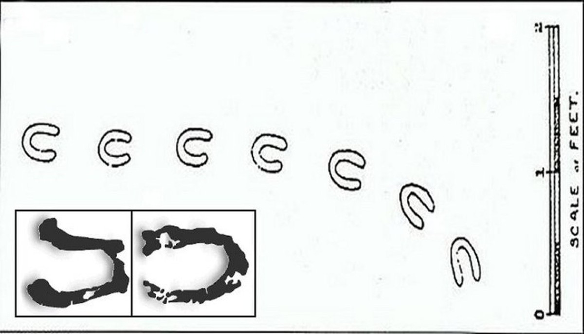 Việc xuất hiện những dấu chân xung quanh khu vực sinh sống khiến không ít người dân địa phương vô cùng lo lắng, bất an, thậm chí sợ hãi.