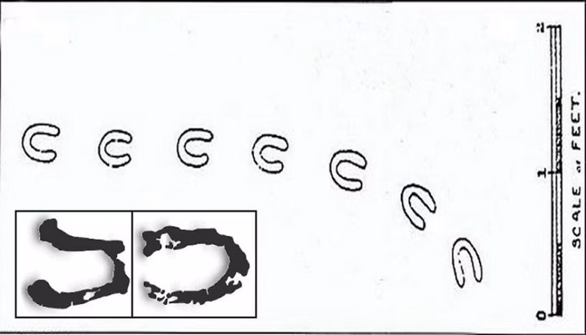 Việc xuất hiện những dấu chân xung quanh khu vực sinh sống khiến không ít người dân địa phương vô cùng lo lắng, bất an, thậm chí sợ hãi.