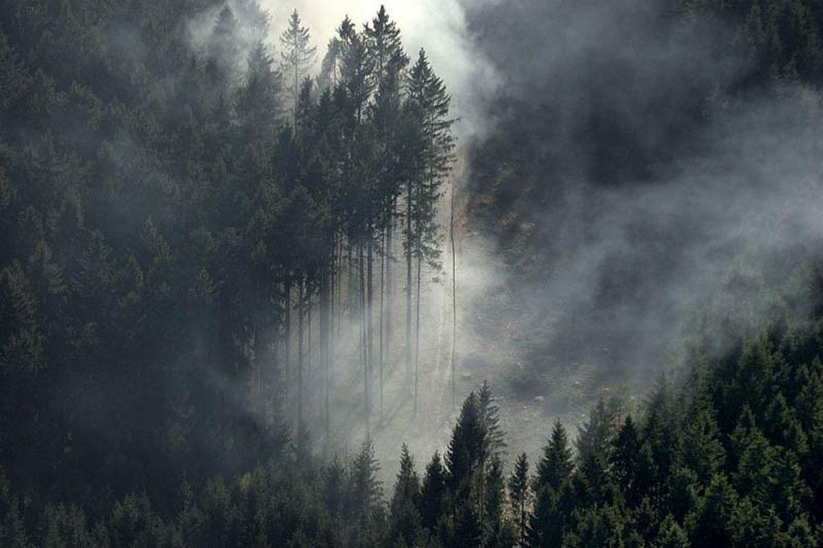 Một số đoàn lữ hành và du khách đột ngột biến mất sau khi đến hòn đảo. Dù mọi người nỗ lực tìm kiếm nhưng không tìm ra các nạn nhân mất tích.