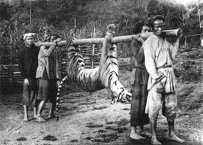 Bức ảnh chụp "Người dân tộc Thái ở Thanh Hóa săn hổ" từng được nhiếp ảnh gia Dieulefils giới thiệu trong cuốn "Đông Dương xinh đẹp và kỳ vĩ". Tác phẩm này đã giúp ông giành được huy chương vàng tại Đấu xảo quốc tế ở Brussels, Bỉ năm 1910.