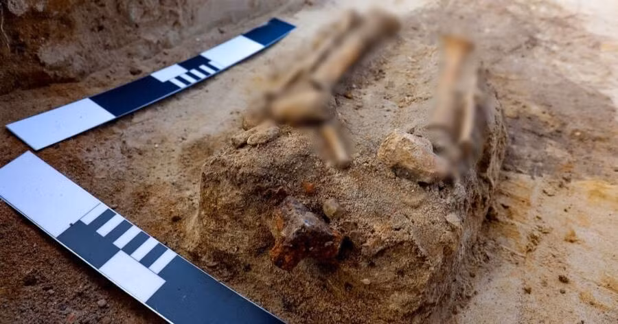 Các nhà khảo cổ thuộc Đại học Nicolaus Copernicus (NCU) đã phát hiện hài cốt của một đứa trẻ "ma cà rồng" được chôn cất trong tư thế úp mặt.