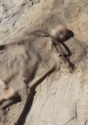 Các chuyên gia cho hay, người Ba Lan thời xưa đã thực hiện một số giải pháp nhằm ngăn người chết sống lại trở thành ma cà rồng như đặt thi thể ở tư thế úp mặt xuống đất, đặt gạch hoặc đá ở miệng, lưỡi liềm ở cổ...