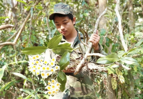 Hiểm nguy nghề băng rừng săn địa lan, mật ong, nấm linh chi - Hình 2 Hiem nguy nghe bang rung san dia lan, mat ong, nam linh chi-Hinh-2