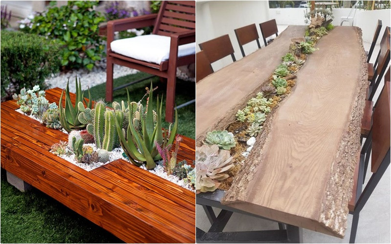 6 cach don gian de trang tri nha bang sen da dep va an tuong