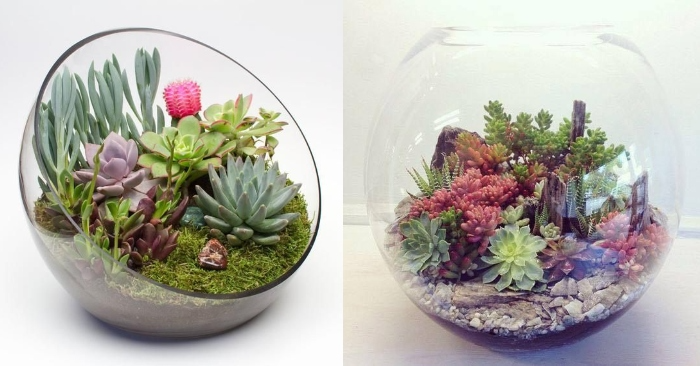 6 cach don gian de trang tri nha bang sen da dep va an tuong-Hinh-3