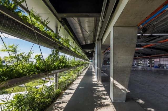 Nhà máy phủ xanh mặt tiền cực độc đáo, nhìn là mê ngay - Hình 2 Nha may phu xanh mat tien cuc doc dao, nhin la me ngay-Hinh-2