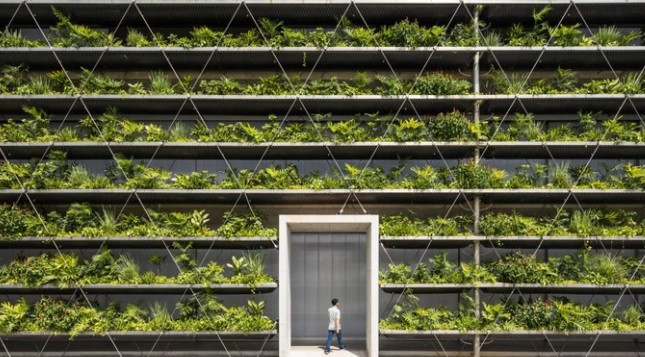 Nhà máy phủ xanh mặt tiền cực độc đáo, nhìn là mê ngay - Hình 3 Nha may phu xanh mat tien cuc doc dao, nhin la me ngay-Hinh-3