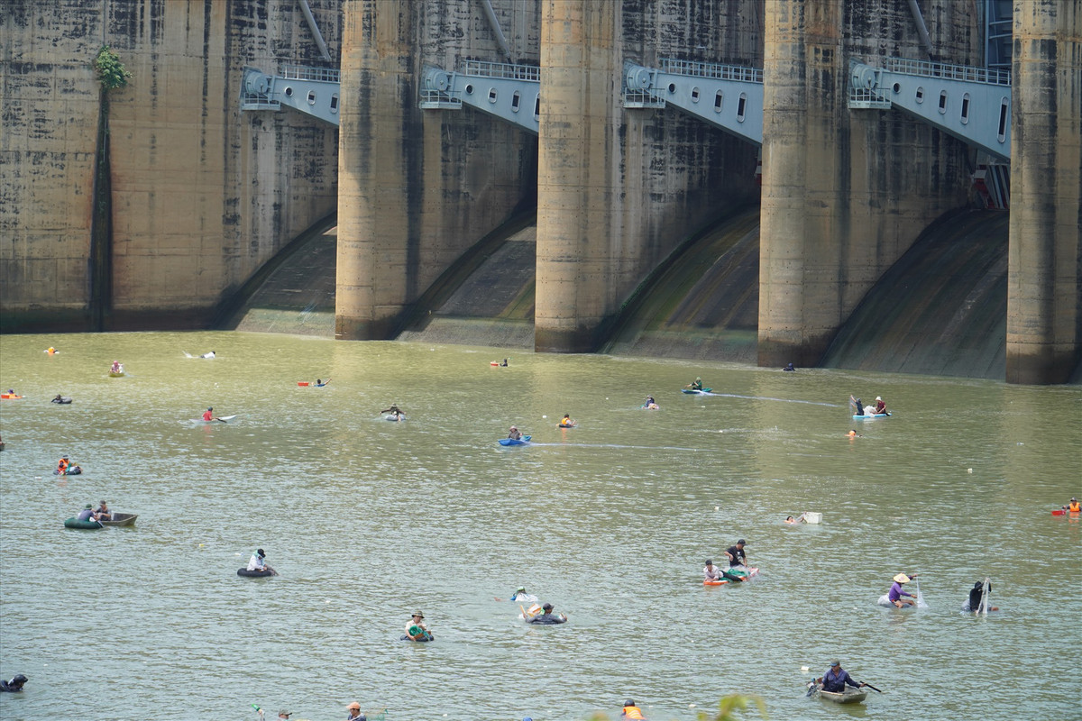 Theo người dân, cá sinh sống ở hồ Trị An có trọng lượng to, có thể lên tới 10 kg - 20 kg. Do đó, khi hồ Trị An xả lũ thì cá theo nguồn nước bơi tới đập tràn. Khi đóng cửa xả lũ thì cá mắc kẹt lại dưới khu vực đập tràn và người dân có thể dễ dàng đánh bắt được.