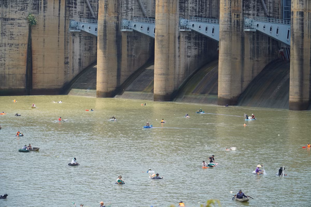 Theo người dân, cá sinh sống ở hồ Trị An có trọng lượng to, có thể lên tới 10 kg - 20 kg. Do đó, khi hồ Trị An xả lũ thì cá theo nguồn nước bơi tới đập tràn. Khi đóng cửa xả lũ thì cá mắc kẹt lại dưới khu vực đập tràn và người dân có thể dễ dàng đánh bắt được.
