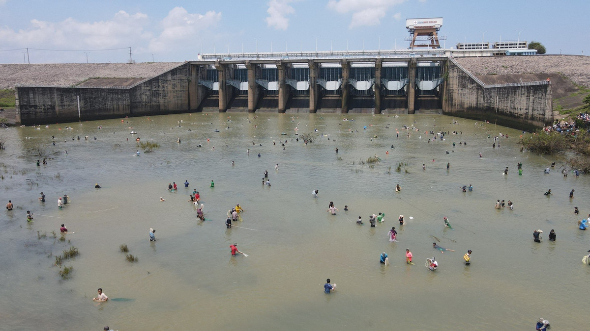 Hàng trăm người dân tới bắt cá, xem bắt cá ở chân đập thuỷ điện Trị An.