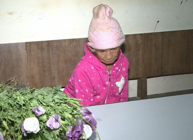  Cụ bà 86 tuổi trồng thuốc phiện trên nương: Hôm nay, Công an huyện Mộc Châu, tỉnh Sơn La cho biết, vừa phát hiện bà Lầu Thị Mỷ, dân tộc Mông, sinh năm 1935 trồng 200 cây thuốc phiện tại nương rẫy của gia đình. Số cây thuốc phiện này đang trong giai đoạn trổ hoa, được đối tượng trồng ở khe đồi, nơi ít người qua lại. Công an đã lập biên bản, phá nhổ, thu giữ toàn bộ tang vật liên quan và củng cố hồ sơ để xử lý theo quy định của pháp luật. 