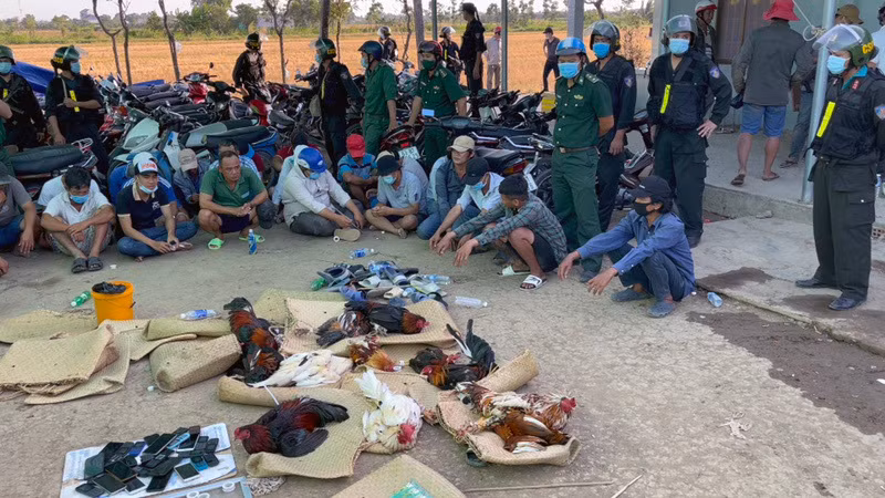  Đánh úp trường gà lớn ở Tiền Giang: Ngày 8/3, Công an tỉnh Tiền Giang cho biết, vừa triệt phá tụ điểm đá gà ăn tiền quy mô lớn tại thị trấn Vàm Láng, huyện Gò Công Đông. Cơ quan chức năng đã đột nhập vào khu đất trống ở thị trấn Vàm Láng, huyện Gò Công Đông, phát hiện khoảng 100 người đang sát phạt nhau bằng hình thức đá gà ăn tiền, bắt giữ 42 người, tạm giữ 12 con gà đá, 54 xe máy, 29 điện thoại di động, hơn 200 triệu đồng… người tên Mát Lượng (ngụ thị xã Gò Công) đứng ra tổ chức và làm chủ.