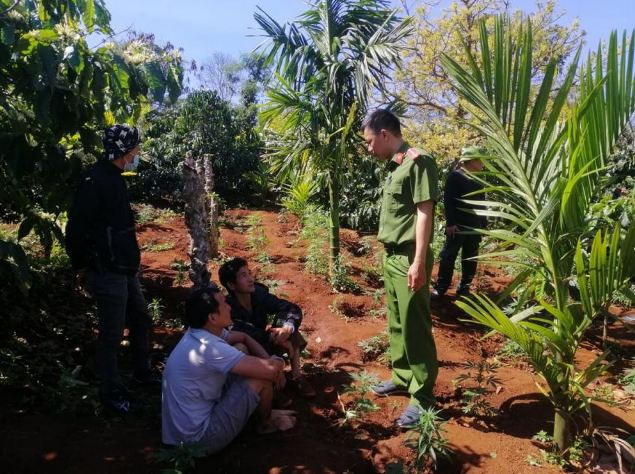 Tài và Quỳnh (hai người ngồi) bị xử lý về hành vi trồng cần sa trái phép.