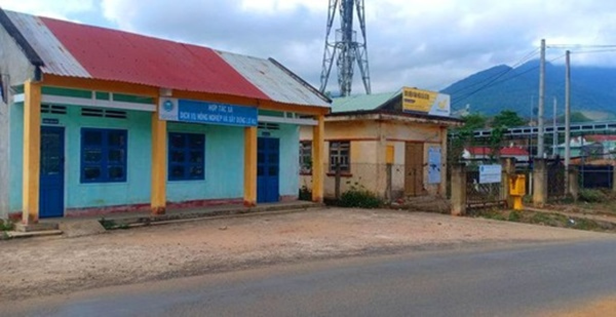  Giám đốc hợp tác xã trục lợi tiền của người nghèo: Ông Lý Kim Thành, Giám đốc HTX Lơ Ku ( huyện Kbang, tỉnh Gia Lai) đã tự ý giữ lại gần 90 triệu đồng để chi tiêu cá nhân. Khi Thanh tra vào cuộc, ông Thành nộp lại 60 triệu đồng. Số tiền trích lại ông Thành nói đã chi cho cán bộ ở xã và huyện. Sau khi bị thanh tra, những cán bộ này trả lại tổng cộng 70 triệu đồng. Công an huyện Kbang quyết định khởi tố vụ án "Tham ô tài sản" tại Hợp tác xã (HTX) Dịch vụ nông nghiệp và Xây dựng Lơ Ku. 