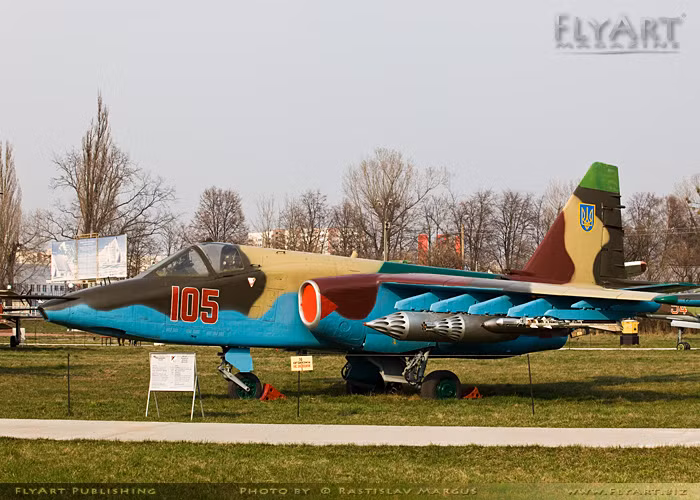Máy bay cường kích Su-25.
