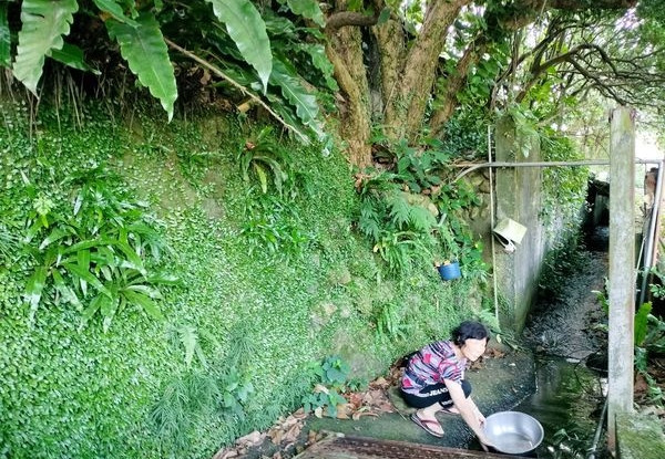 Sợ hãi đến mức choáng váng, nhịp tim tăng cao, chân nhũn mềm, cô Tạ Du A không kịp né tránh, chỉ biết gào lên thảm thiết. May mắn là sau khi con rắn lớn ngã từ cao xuống, nó cũng bị choáng và bất tỉnh trong một thời gian, không tấn công con người.