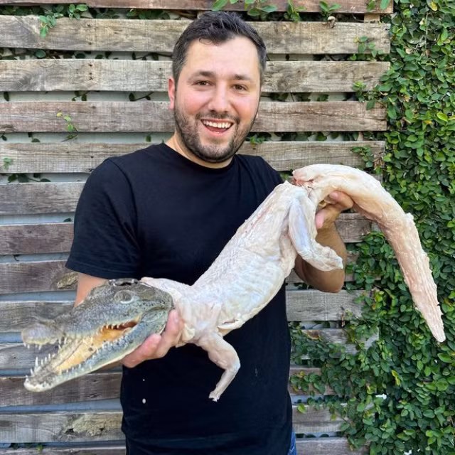 Qua video có thể thấy rằng con cá sấu bị lột da và nhét táo vào miệng, sau đó tẩm ướp gia vị và đem nướng. Mặc dù Regio Parrillero cho biết con cá sấu nước ngọt nặng 3,5 kg này không phải là loài có nguy cơ tuyệt chủng và thường được ăn thịt ở các vùng của Mexico và Mỹ, thế nhưng anh vẫn bị chỉ trích.