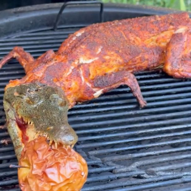 Một số người cũng tỏ ra lo lắng về hành vi của nam đầu bếp, bởi theo Điều 420 Bộ luật Hình sự Liên bang Mexico, kẻ đe dọa đa dạng sinh học và giết cá sấu sẽ bị phạt tù tới 9 năm.