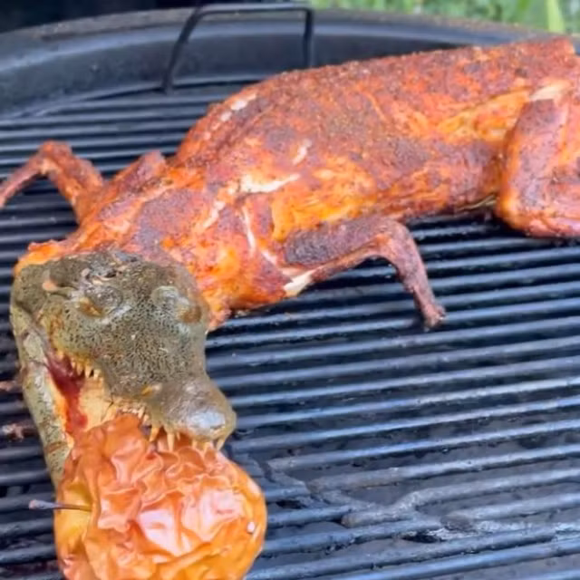 Một số người cũng tỏ ra lo lắng về hành vi của nam đầu bếp, bởi theo Điều 420 Bộ luật Hình sự Liên bang Mexico, kẻ đe dọa đa dạng sinh học và giết cá sấu sẽ bị phạt tù tới 9 năm.