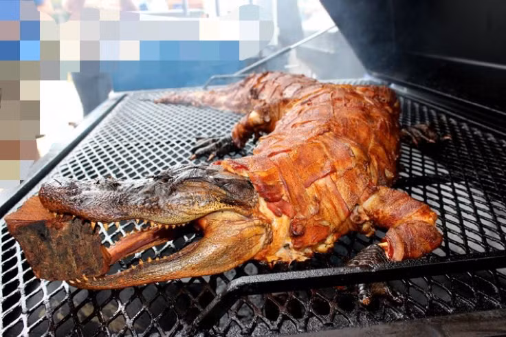 Thịt cá sấu thường được ướp cùng các gia vị hấp dẫn như tỏi, ớt, nước mắm, nướng tương và gia vị tùy chọn tuỳ theo khu vực, quốc gia. Nhiệt độ và thời gian nướng phải được kiểm soát để đảm bảo thịt cá sấu được nướng chín đều và không quá khô.