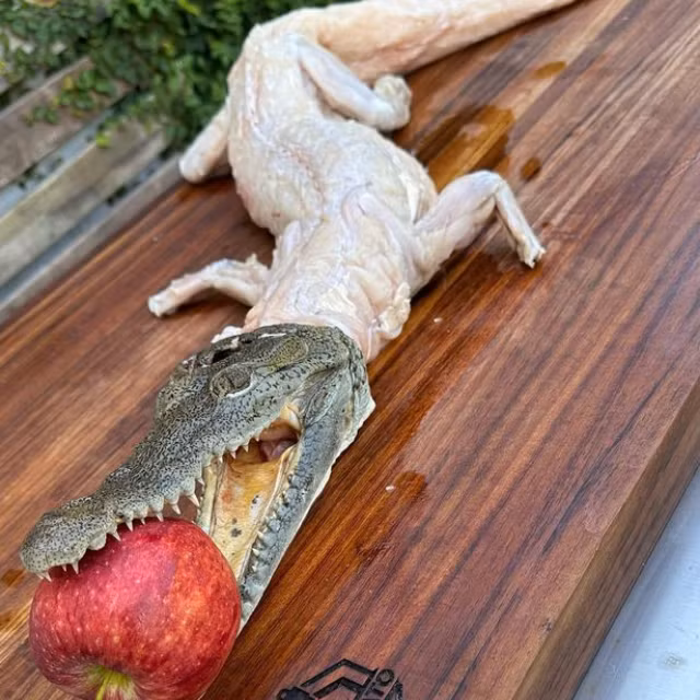 Nhiều khán giả sau khi xem xong đã tỏ ra tức giận, cho rằng món ăn này quá kinh dị, có người cho rằng anh không nên ăn thịt bò sát vì chúng là động vật hiếm.