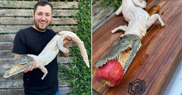 Mới đây, một đầu bếp nổi tiếng ở Mexico đăng tải đoạn video nướng cá sấu lên mạng xã hội, thu hút sự quan tâm, chú ý của đông đảo cư dân mạng. Đa số mọi người đều chỉ trích hành động này và cho rằng đầu bếp đang tạo ra trào lưu xấu. (Ảnh: IG)