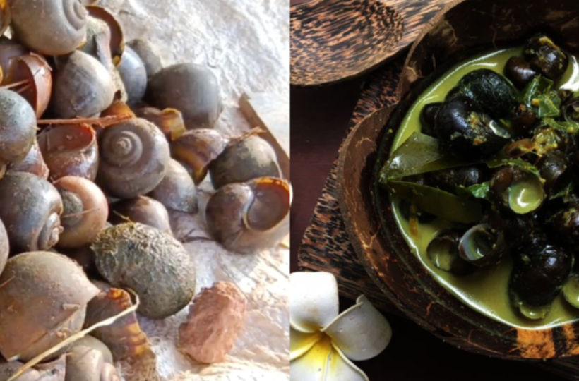 Theo đánh giá của những người sành ăn, tuy công đoạn chế biến món cà ri thịt ốc hay ốc sên hầm hơi vất vả và lâu nhưng về vị thì ngon hơn thịt dê.